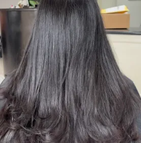 Long, sleek, shiny dark hair, back view